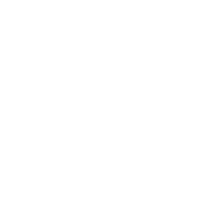 Intelligent CIO